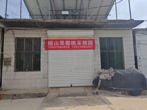摇山果樱桃采摘园