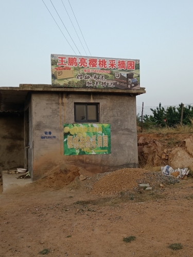 王鹏亮樱桃采摘园