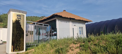 鹿泉区隆润种植农民专业合作社