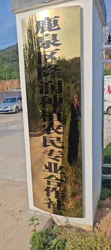 鹿泉区隆润种植农民专业合作社