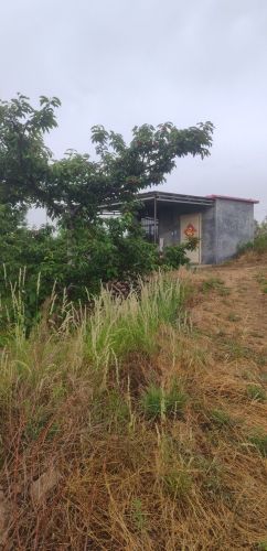 杰杰樱桃采摘园