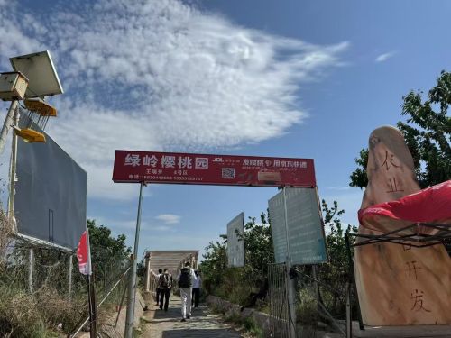 绿岭樱桃园4号区