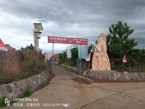 绿岭樱桃园4号区