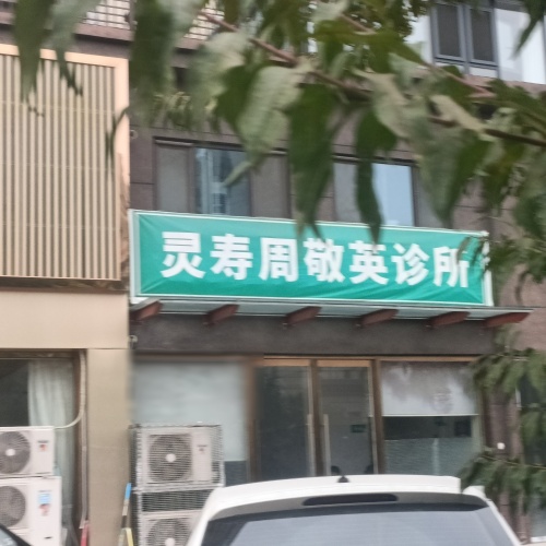 灵寿周敬英诊所