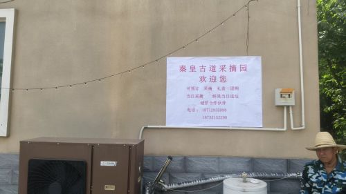 秦皇古道采摘园