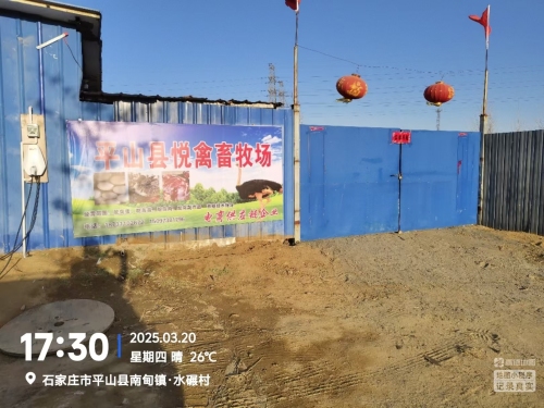 平山县悦禽畜牧场