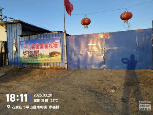 平山县悦禽畜牧场