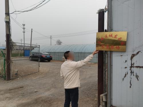 藁城区城东乐园家庭农场