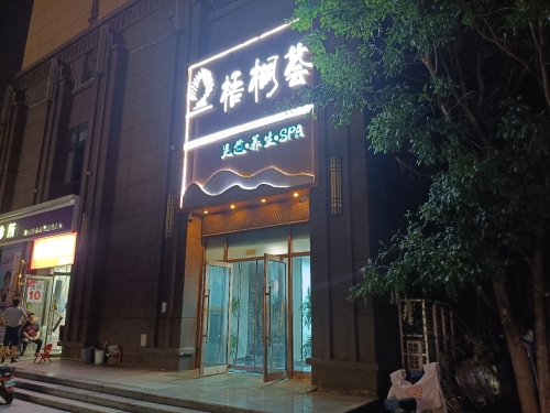 梧桐荟养生会所