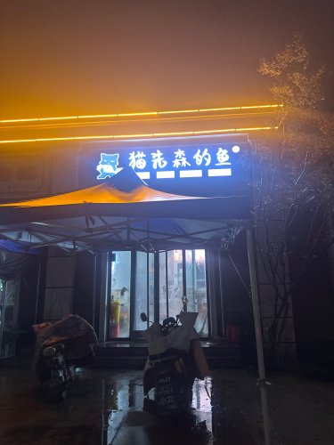 猫先森的鱼