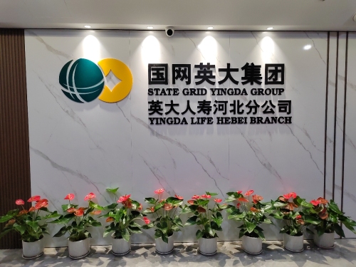 国网英大集团英大人寿河北分公司