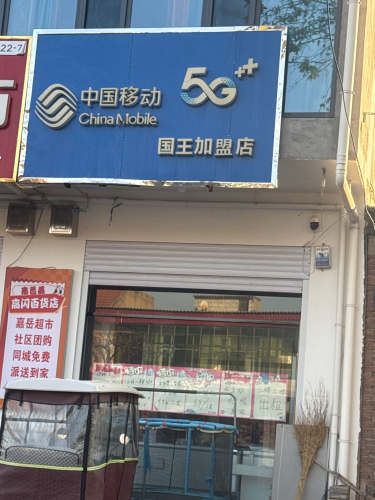 中国移动国王加盟店