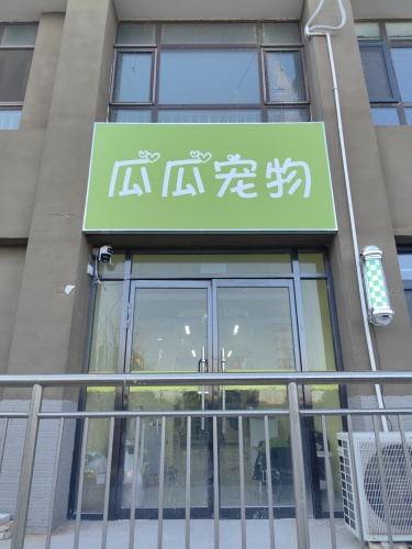 瓜瓜宠物(主语城店)