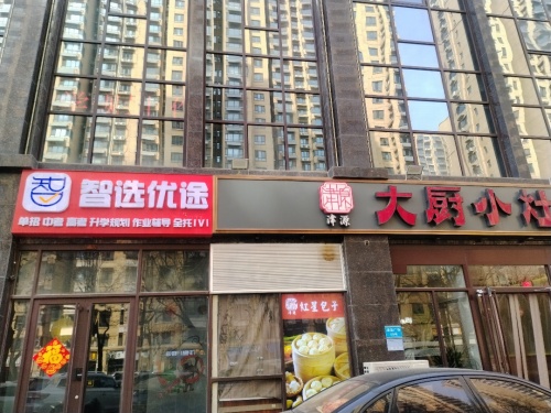 智选优途