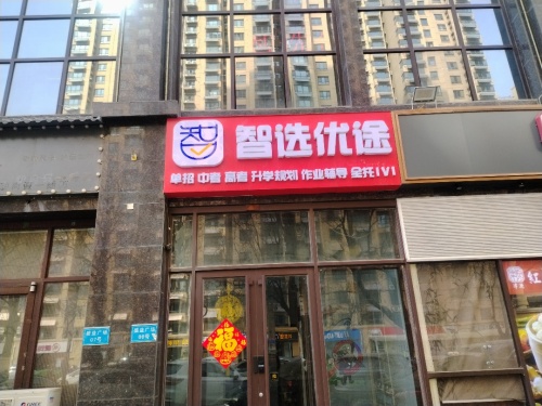 智选优途