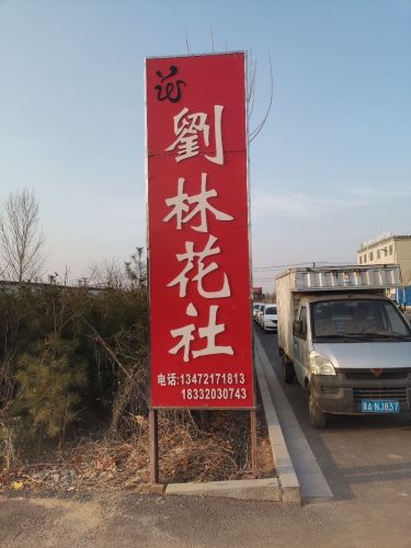 刘林花社大棚基地