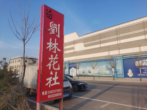刘林花社大棚基地
