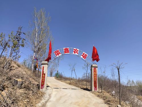 平山县荣鑫家庭农场