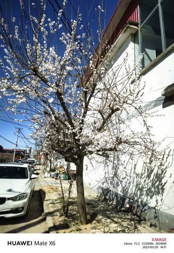 南铜冶村新青年小院