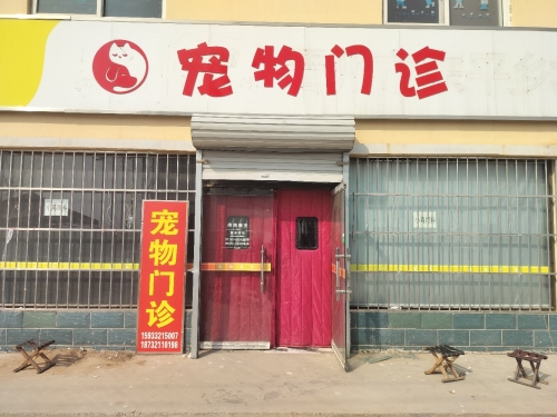 东平乡宠物门诊