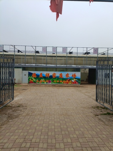 鹿泉区德益祥家庭农场