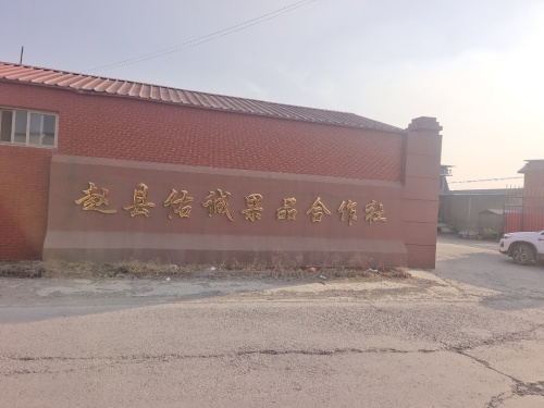 赵县佑诚农产品种植专业合作社