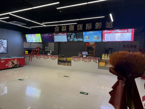 正定县金棕榈国际影城(正定曲阳桥店)