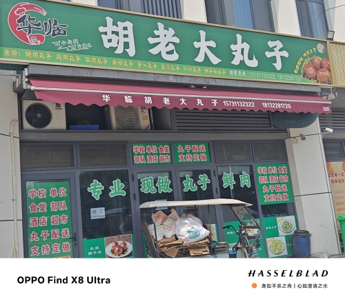 胡老大丸子