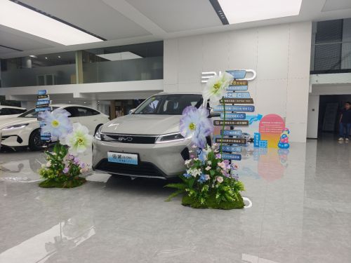 比亚迪汽车海洋网(石家庄盛世路骐北二环展厅)