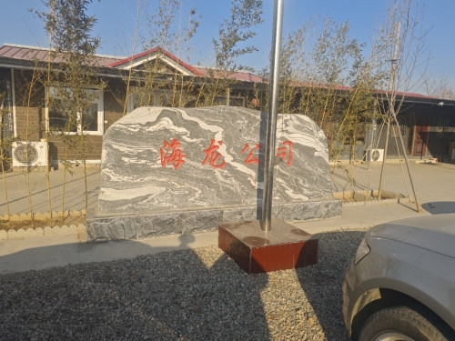 海龙公司
