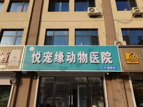 悦宠缘动物医院