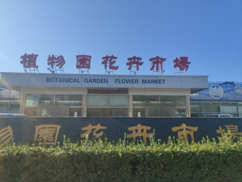 植物园花卉市场B区
