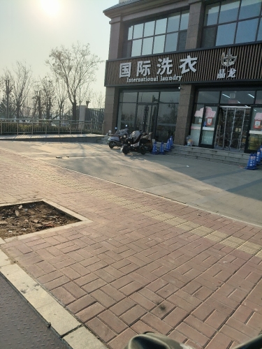 国际洗衣