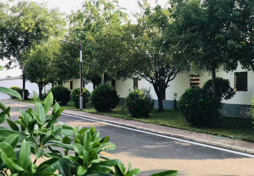 东南别院