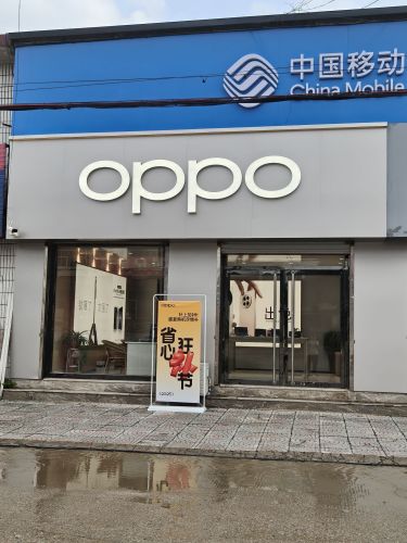 OPPO授权专营店(石家庄灵寿县陈庄镇振兴路店)
