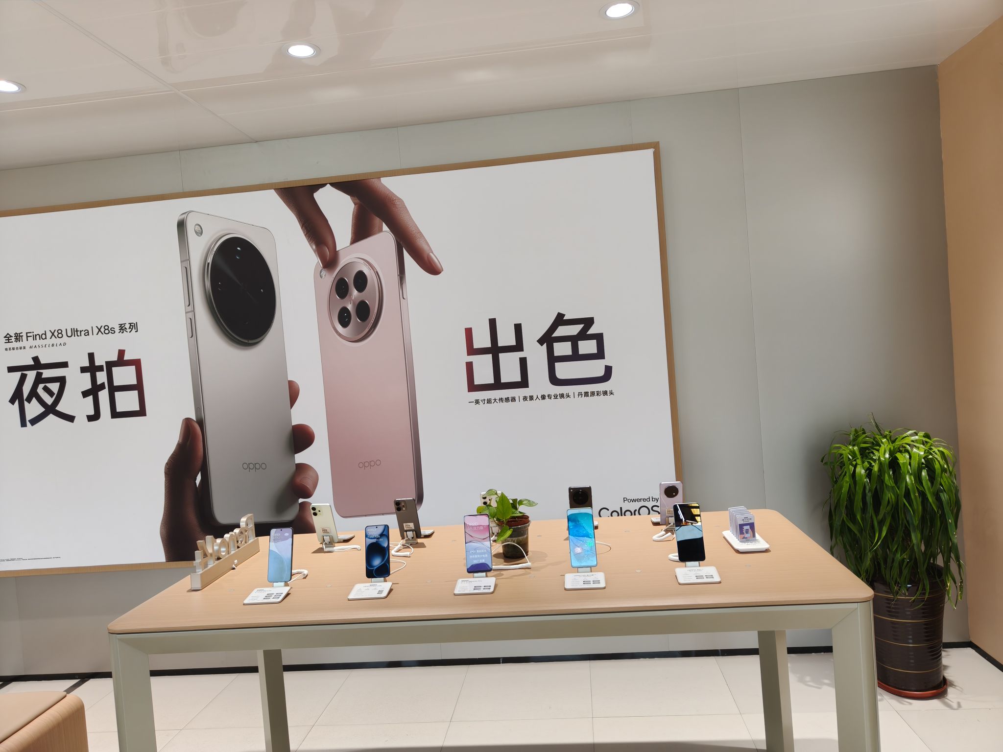 OPPO授权专营店(石家庄灵寿县陈庄镇振兴路店)