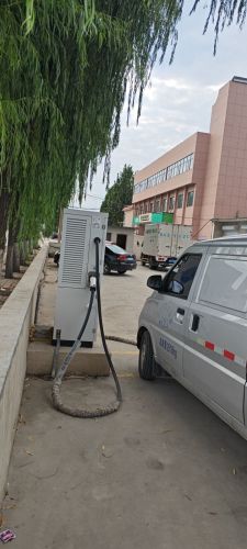 云快充汽车充电站(安然动物药业充电站)