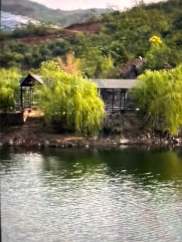 担杖沟路亚基地
