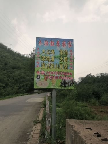 木欣散养农家