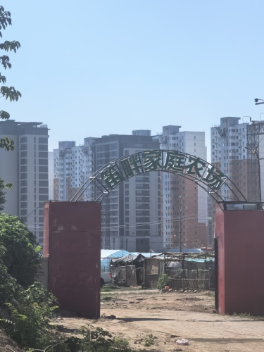 笛畔家庭农场