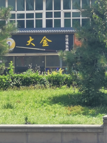 大金台球俱乐部