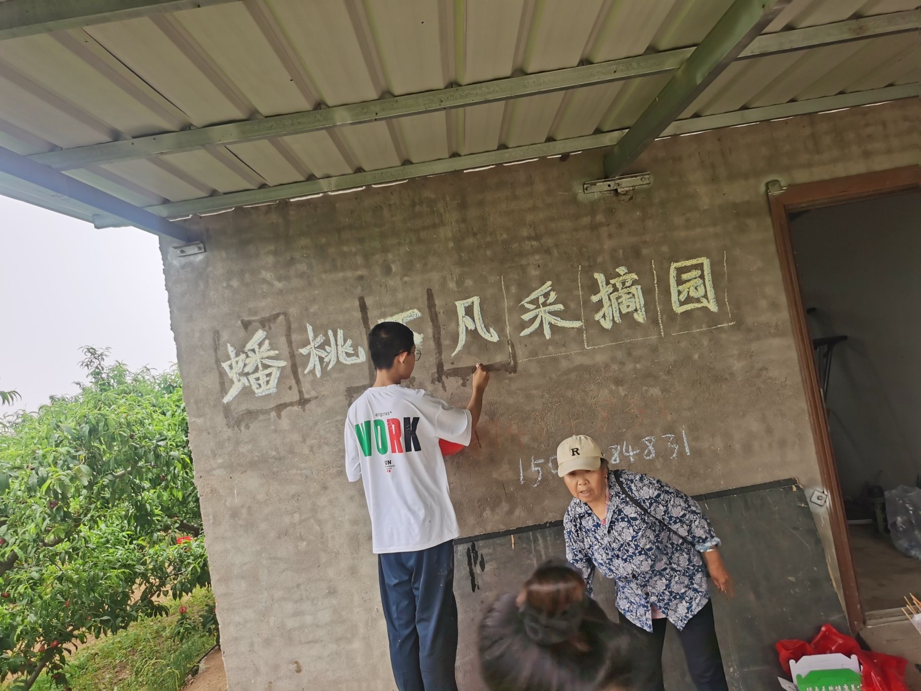 蟠桃下凡采摘园