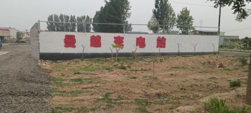 曼越新能源超级充电站(曼越充电站)