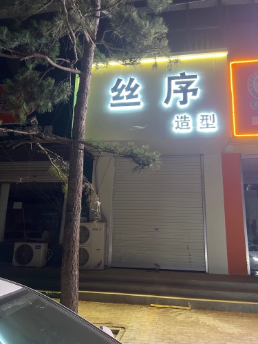 丝序造型
