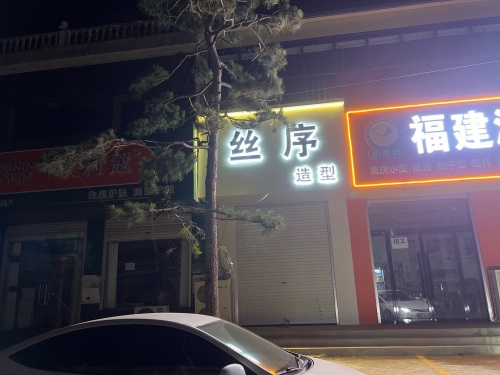 丝序造型