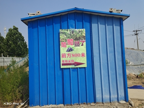 果香园葡萄采摘基地