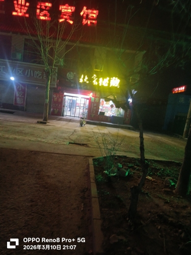 杜康秘藏