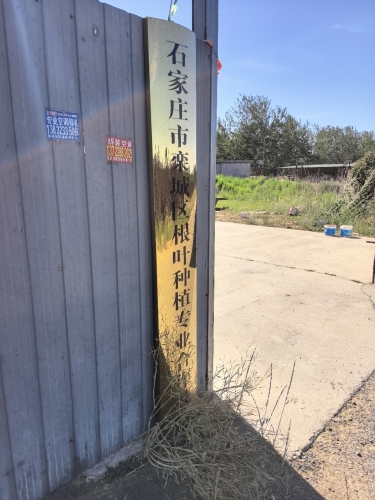 石家庄栾城区根叶种植专业合作社