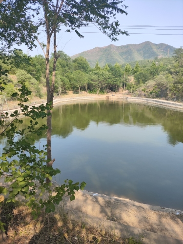 西部长青3号垂钓园