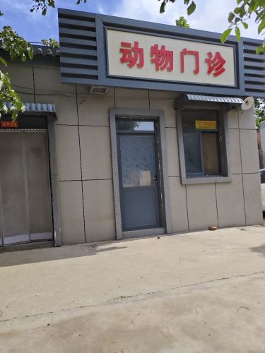 动物门诊